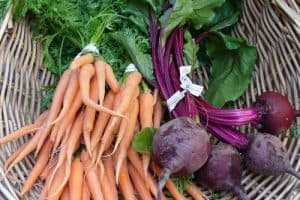 Carrots and beets (C.Cancler)