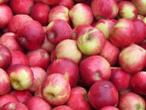 produktionswirtschaft 1994