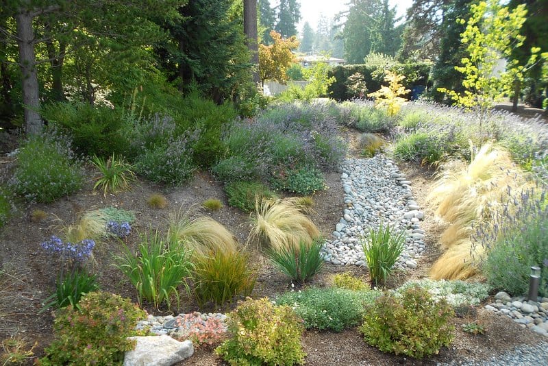 Building Grass Garden Bed Building Grass Garden Bed