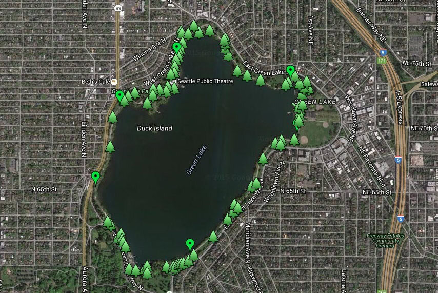 Green Lake trees map takes you on a walking tour of this beloved Seattle park