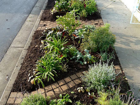 how to start a vegetable garden from scratch veg planting strip garden tenthacrefarmcom guide to starting vegetable in the city greater seattle how to start a vegetable garden from scratch veg planting strip garden tenthacrefarmcom guide to starting vegetable in the city greater seattle