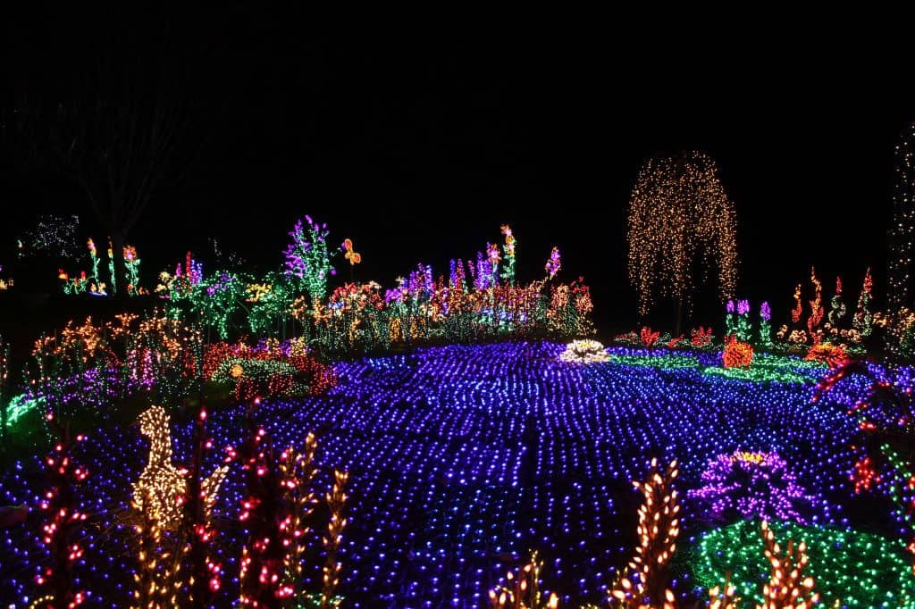 Free Bellevue Botanical Garden Greater Seattle on the Cheap