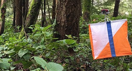 Cascade Orienteering flag