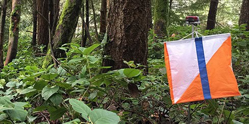 Cascade Orienteering flag
