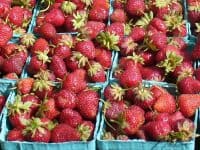 Strawberries at the farmers market photo by Carole Cancler