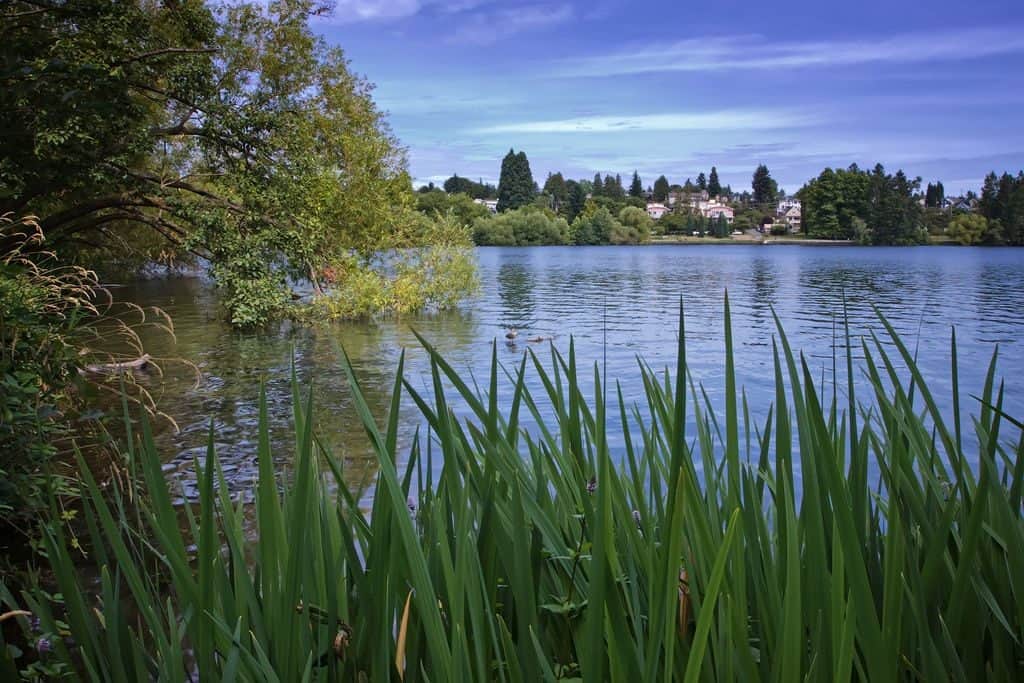 Green Lake Seattle WA 2011 photo by Steven Pavlov
