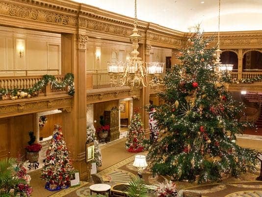 free festival of christmas trees at seattle fairmont free festival of christmas trees at seattle fairmont