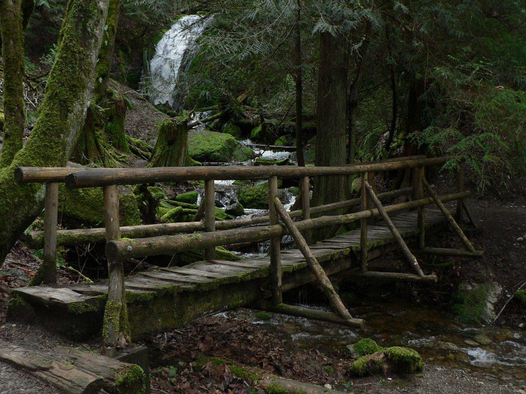 Coal Creek Falls foot bridge with falls in background photo by Walter Siegmund (CC2.5)