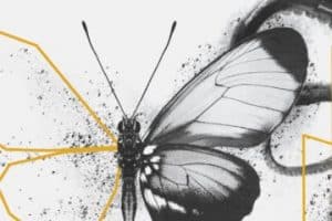 ArtsWest 2018-2019 season