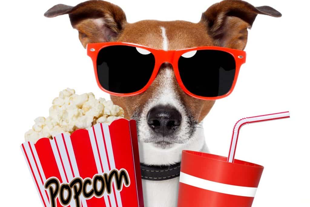 Movie popcorn and soda