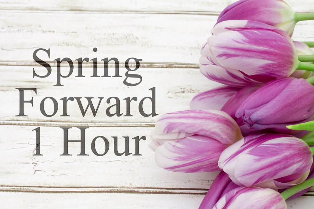 Spring Foreward 1 Hour photo by karenr - DepositPhotos.com