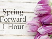 Spring Foreward 1 Hour photo by karenr - DepositPhotos.com