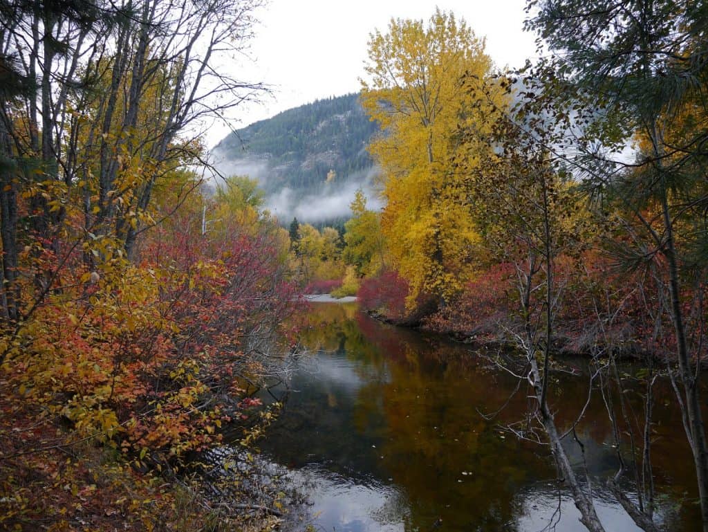 Fall color between Stevens Pass and Leavenworth photo by Brian Holsclaw (CC2)