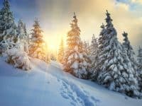 Winter landscape - DepositPhotos.com