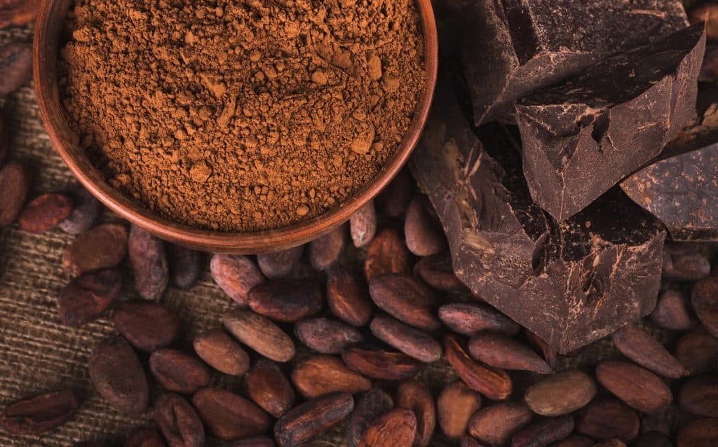 Raw cacao beans, cocoa powder, and chocolate bars