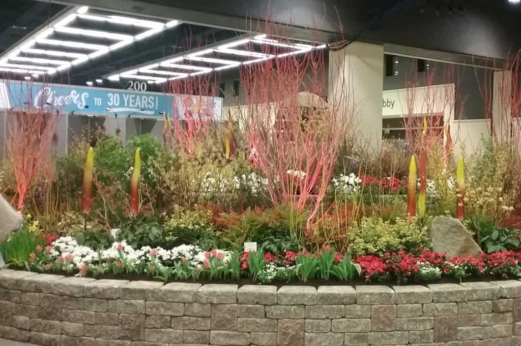 Northwest Flower Garden Show preview 2-6-17 photo by Carole Cancler