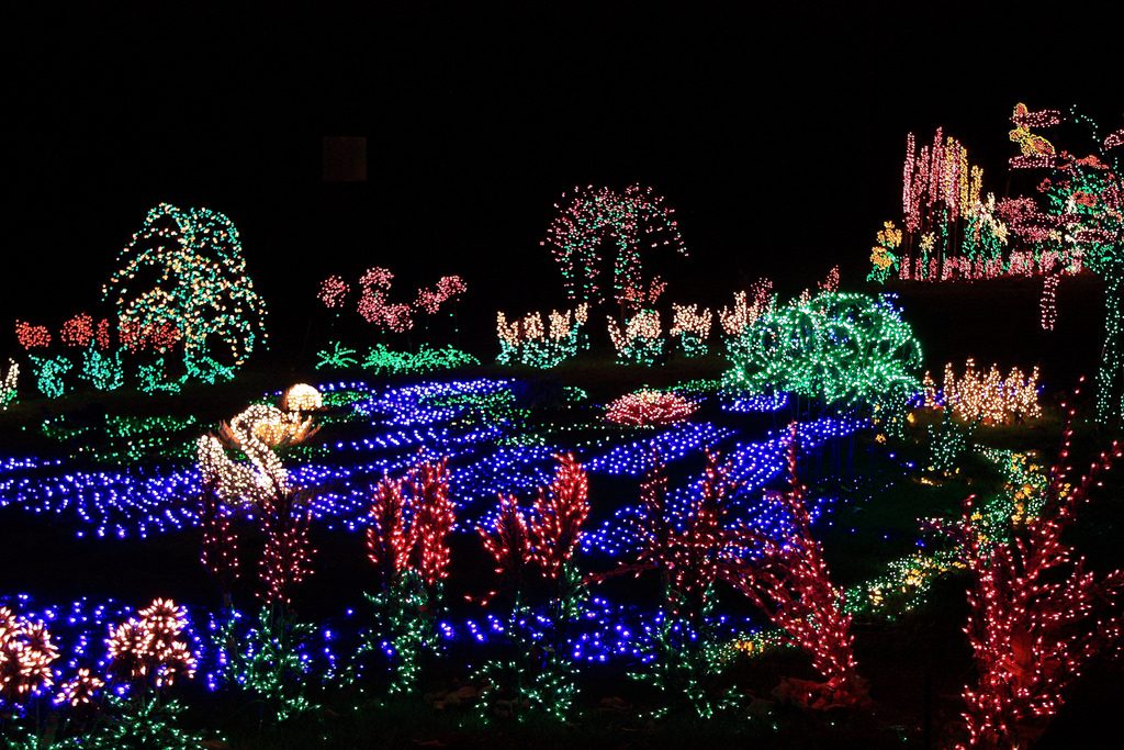Bellevue Botanical Garden Christmas Garden D'Lights photo by Sean O'Neill (CC2)