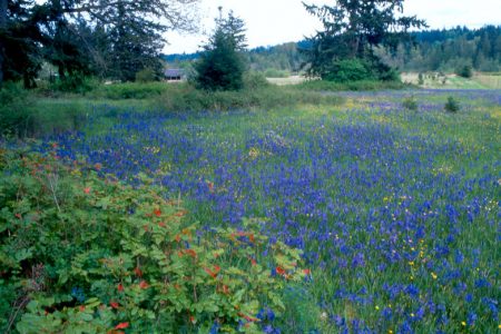 Morse Wildlife Preserve