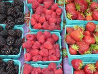 Blackberries, raspberries, and strawberries photo by Carole Cancler