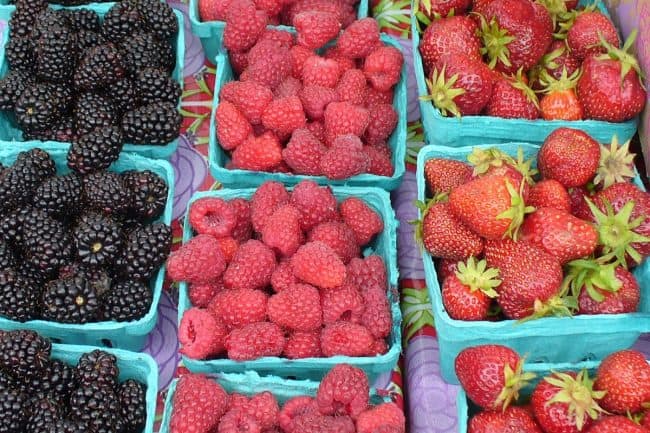 Blackberries, raspberries, and strawberries photo by Carole Cancler