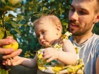 Father and child picking apples