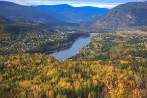 Fall colours along the Columbia River at Castlegar