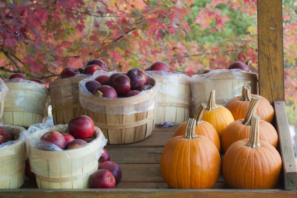 Apples and pumpkins
