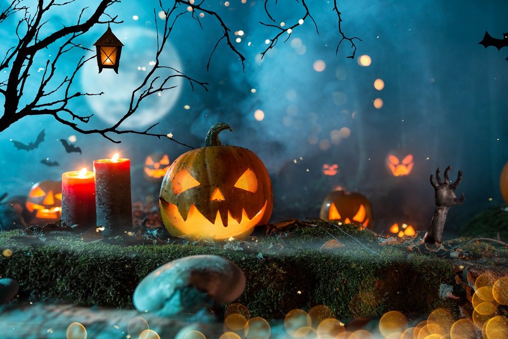 Halloween pumpkins in a spooky forest photo by Kesu01 - DepositPhotos.com
