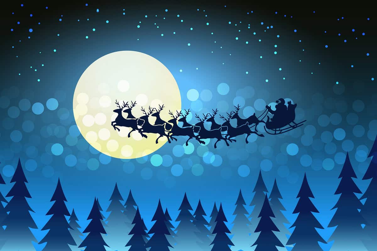 Santa and his reindeer by moonlight Vector by MSSA - DepositPhotos.com