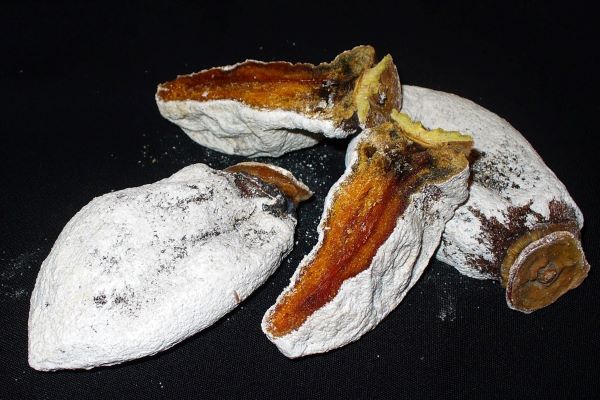 Dried hoshigaki persimmon (photo by Carole Cancler)