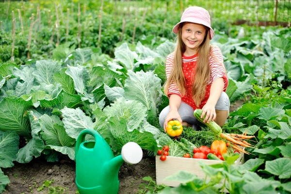 Young girl in a vegetable garden