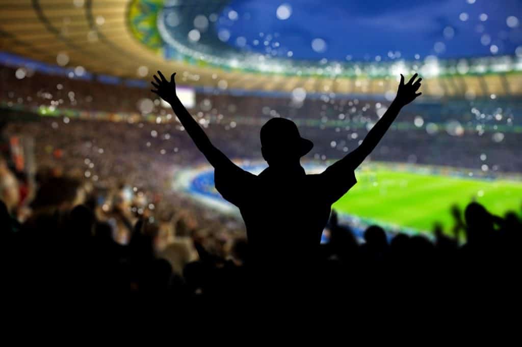 fans cheering the game at a stadium - DepositPhotos.com