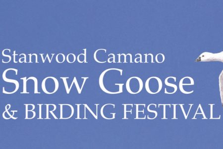 Stanwood-Camano Snow Goose and Birding Festival banner