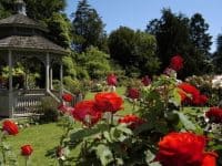 Seattle Woodland Park Zoo Rose Garden