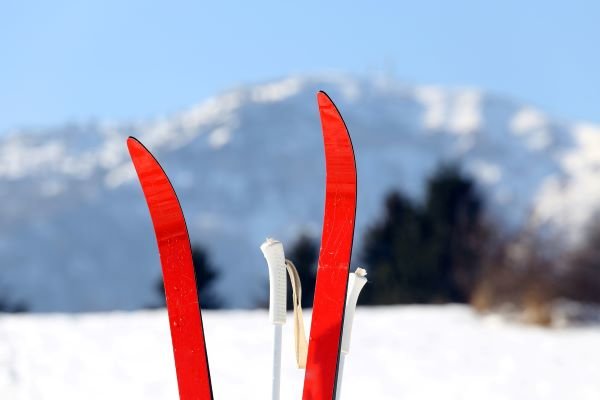 cross country skis