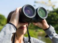 Birdwatcher with binoculars