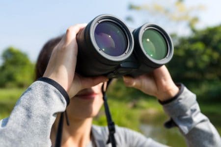 Birdwatcher with binoculars