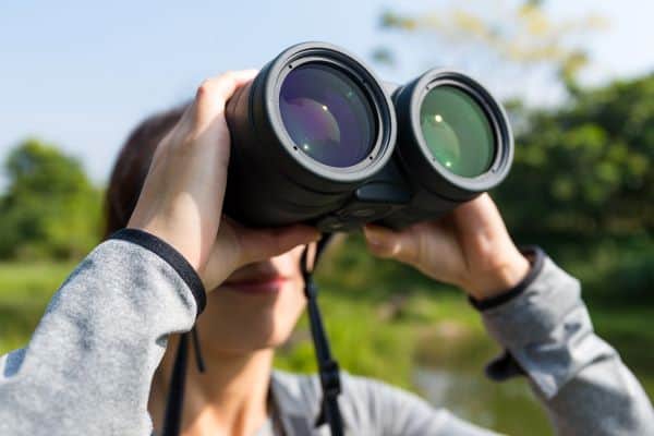 which binoculars for bird watching