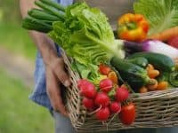 basket of farm produce