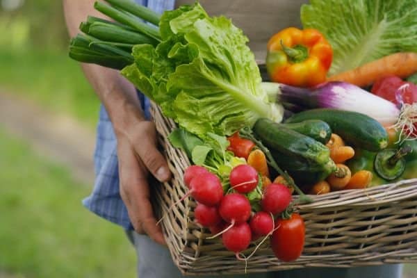 basket of farm produce