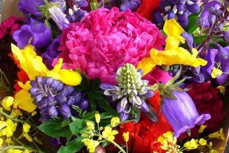 Summer flowers at the farmers market 2011 photo by Carole Cancler