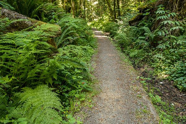 Squak Mountain State Park
