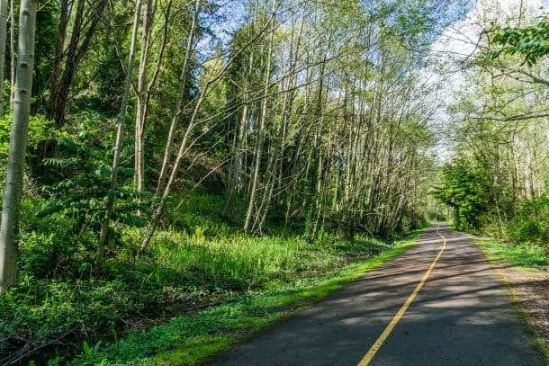 Des Moines Creek Trail