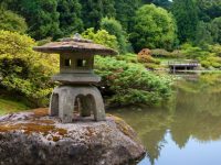 Stone lantern at Seattle Japanese Garden