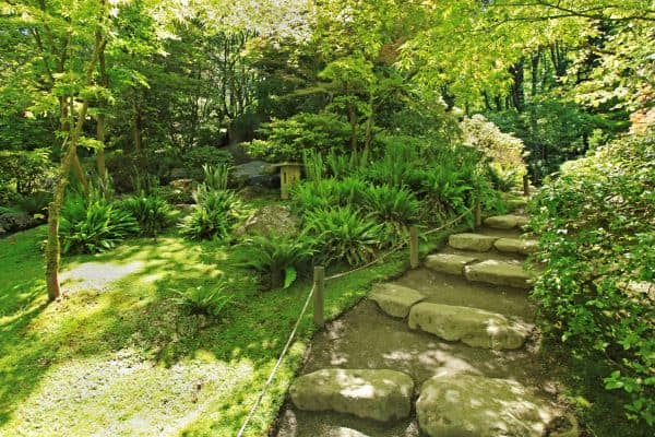 Stone path way at Seattle Japanese Garden