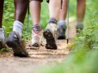 hikers on the trail