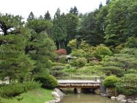wooden bridge over a pond in Seattle Japanese Garden