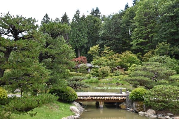 wooden bridge over a pond in Seattle Japanese Garden