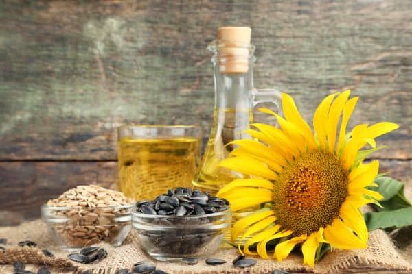 Sunflower, seeds, kernels, and oil