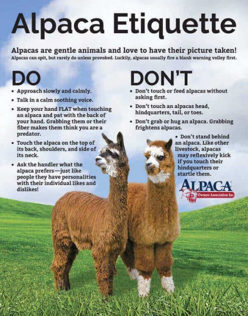 Alpaca Owners Associatoin (AOA) Alpaca Etiquette poster